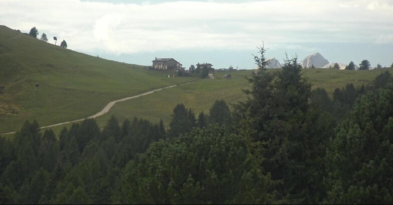Webcam Bellamonte-Alpe Lusia  - Pista Dolomitica