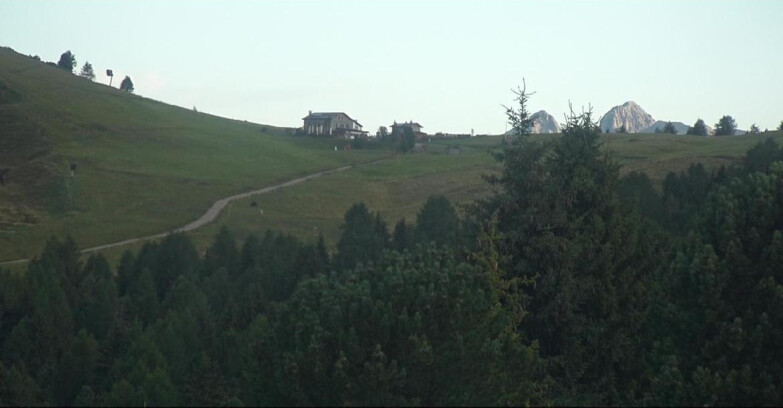Webcam Bellamonte-Alpe Lusia  - Pista Dolomitica