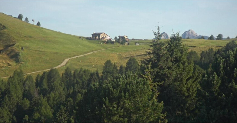 Webcam Bellamonte-Alpe Lusia  - Pista Dolomitica