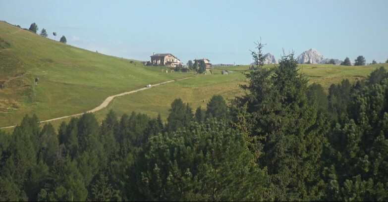 Webcam Bellamonte-Alpe Lusia  - Pista Dolomitica