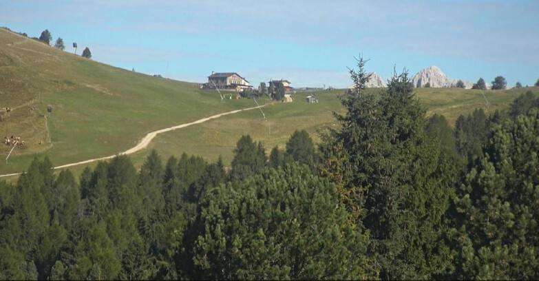Webcam Bellamonte-Alpe Lusia - Dolomiti slope
