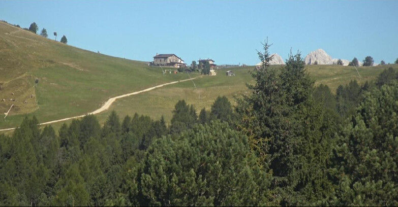 Webcam Bellamonte-Alpe Lusia - Dolomiti slope