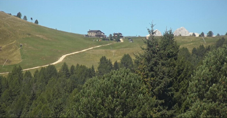 Webcam Bellamonte-Alpe Lusia - Dolomiti slope