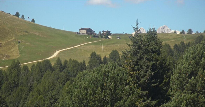 Webcam Bellamonte-Alpe Lusia - Dolomiti slope