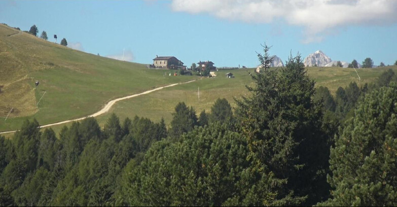 Webcam Bellamonte-Alpe Lusia - Dolomiti slope