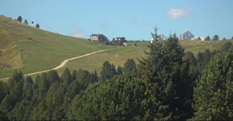 Webcam Bellamonte-Alpe Lusia - Dolomiti slope