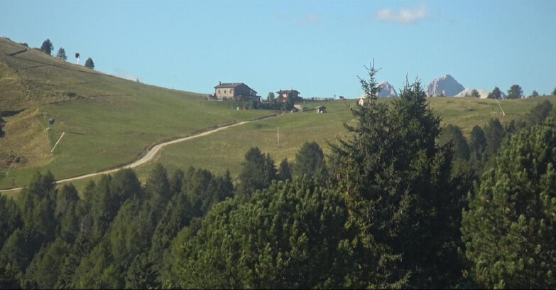 Webcam Bellamonte-Alpe Lusia - Dolomiti slope