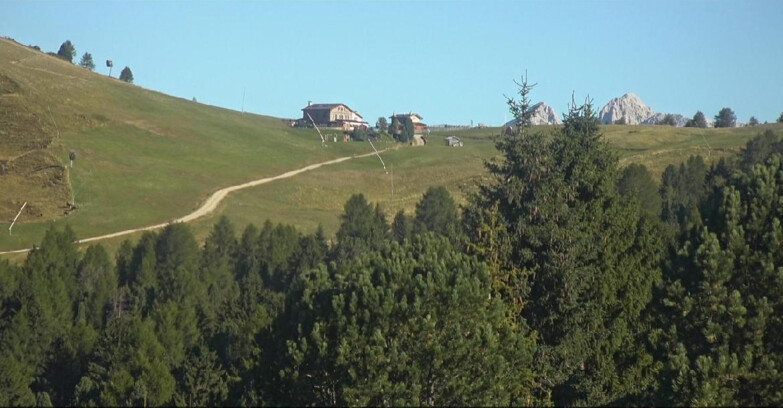 Webcam Bellamonte-Alpe Lusia - Dolomiti slope