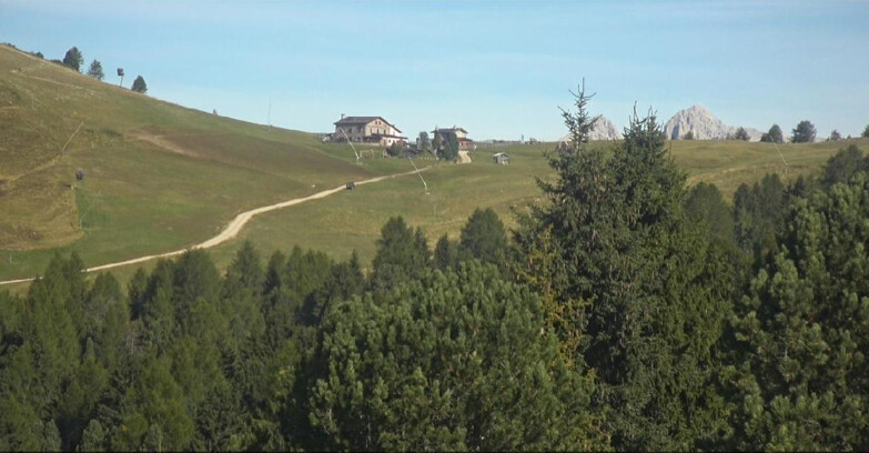 Webcam Белламонте-Альпе-Лусиа  - Pista Dolomitica