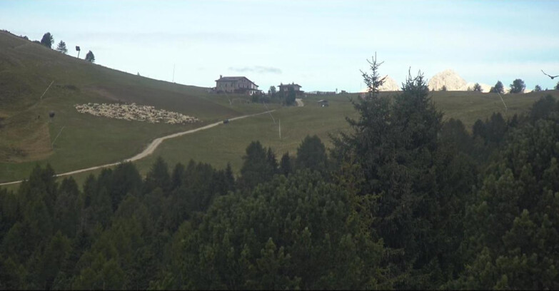 Webcam Белламонте-Альпе-Лусиа  - Pista Dolomitica