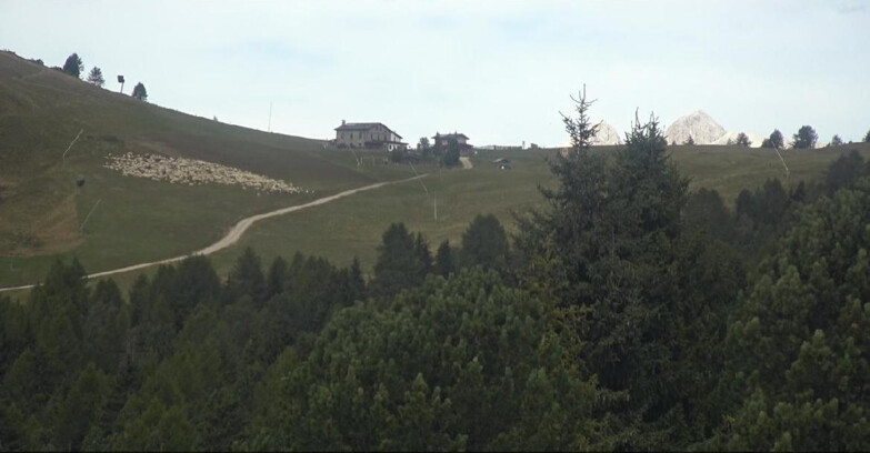 Webcam Белламонте-Альпе-Лусиа  - Pista Dolomitica