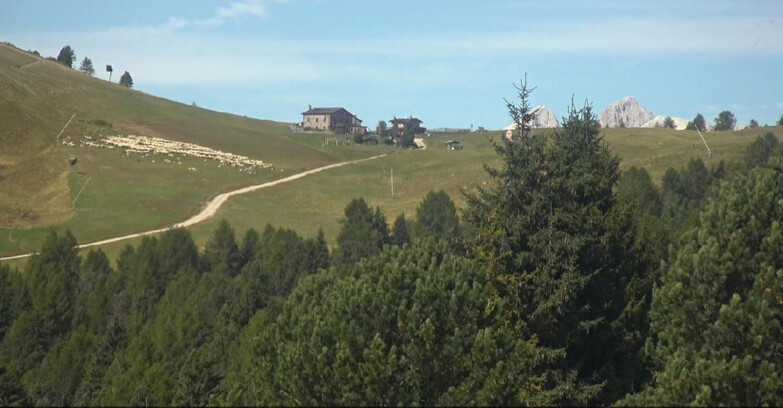 Webcam Белламонте-Альпе-Лусиа  - Pista Dolomitica