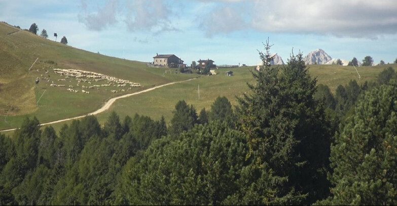 Webcam Белламонте-Альпе-Лусиа  - Pista Dolomitica