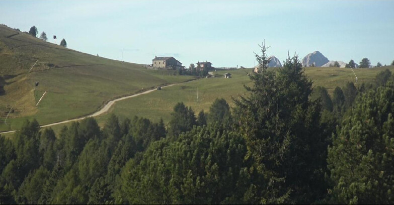 Webcam Белламонте-Альпе-Лусиа  - Pista Dolomitica