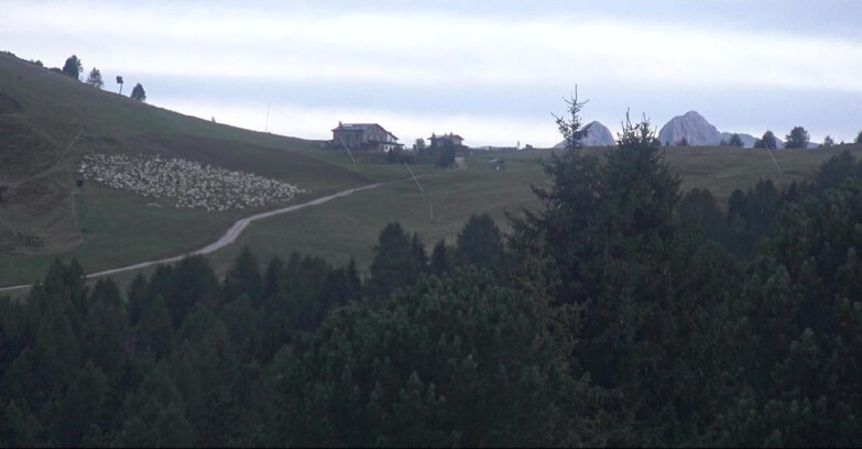 Webcam Белламонте-Альпе-Лусиа  - Pista Dolomitica