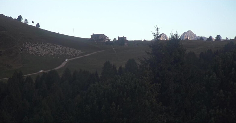 Webcam Белламонте-Альпе-Лусиа  - Pista Dolomitica