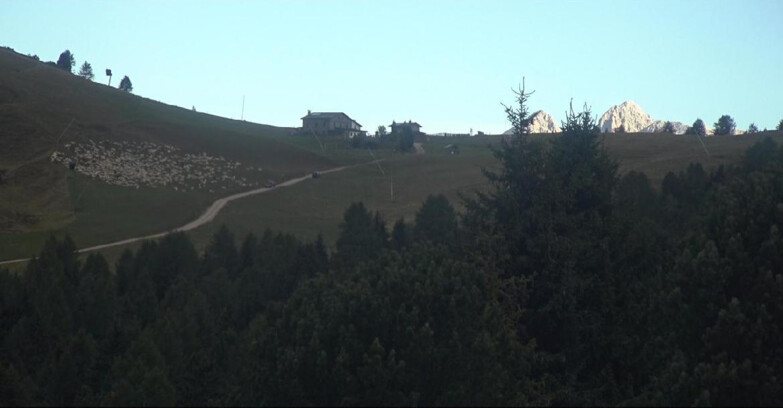 Webcam Белламонте-Альпе-Лусиа  - Pista Dolomitica