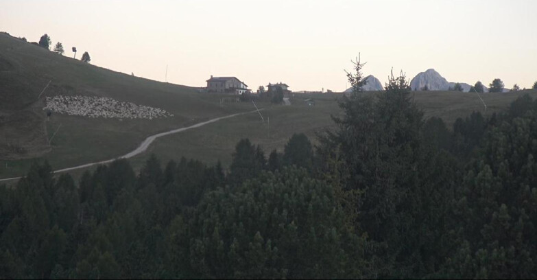 Webcam Белламонте-Альпе-Лусиа  - Pista Dolomitica