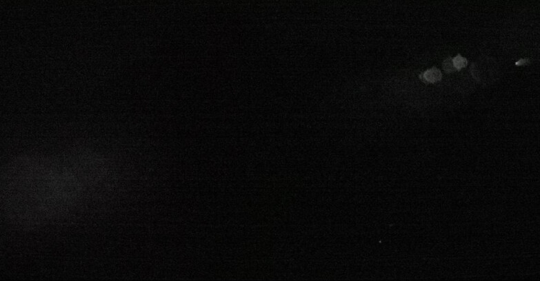 Webcam Сан-Мартино-ди-Кастроцца - Пассо-Ролле - Pale di San Martino