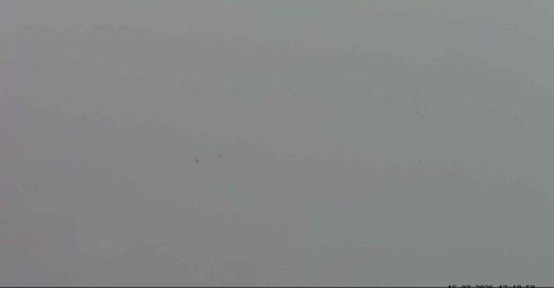 Webcam Passo San Pellegrino-Falcade  - Panorama N-E