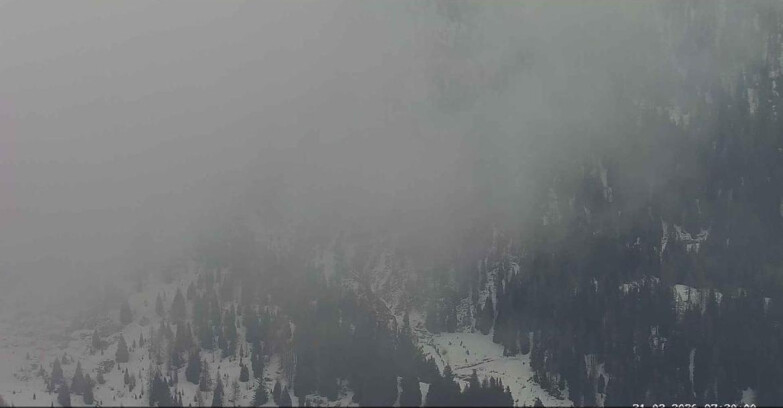 Webcam Passo San Pellegrino-Falcade  - Panorama N-E