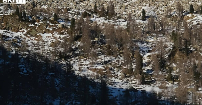 Webcam Мадонна-ди-Кампильо  - Rifugio Viviani