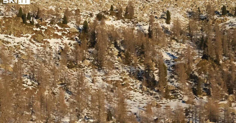 Webcam Мадонна-ди-Кампильо  - Rifugio Viviani