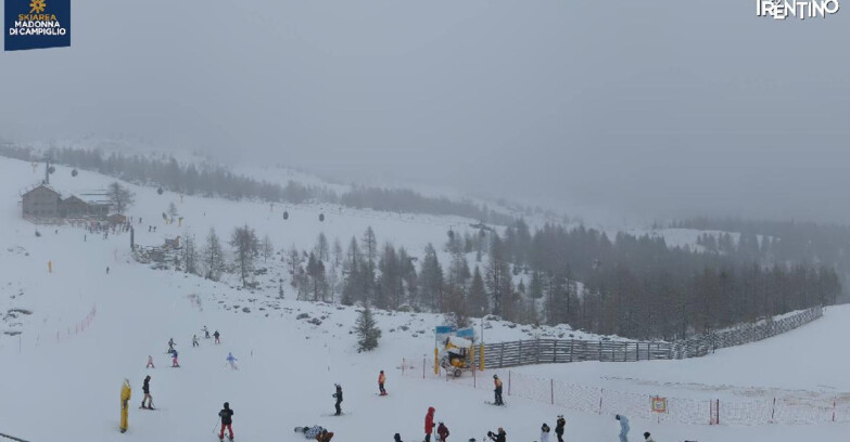 Webcam Madonna di Campiglio - Rifugio Viviani