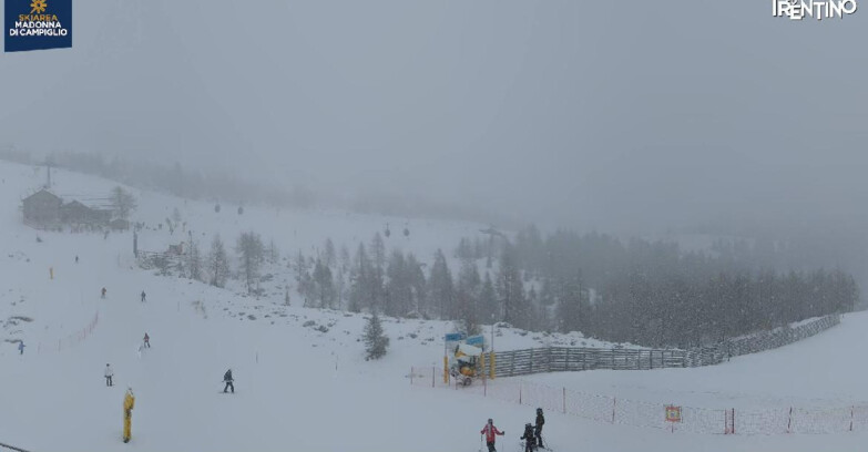 Webcam Madonna di Campiglio - Rifugio Viviani