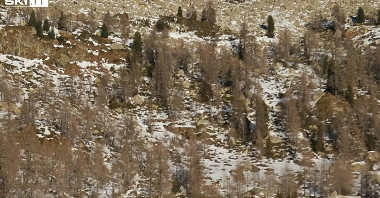 Webcam Madonna di Campiglio - Rifugio Viviani