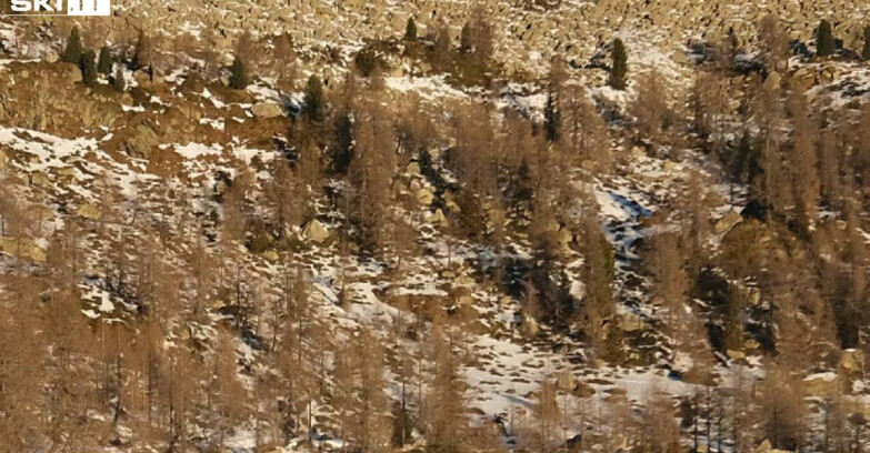 Webcam Madonna di Campiglio - Rifugio Viviani