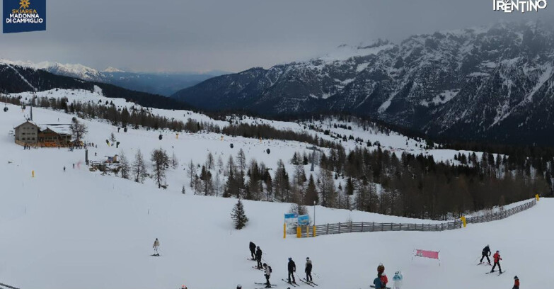 Webcam Madonna di Campiglio - Rifugio Viviani