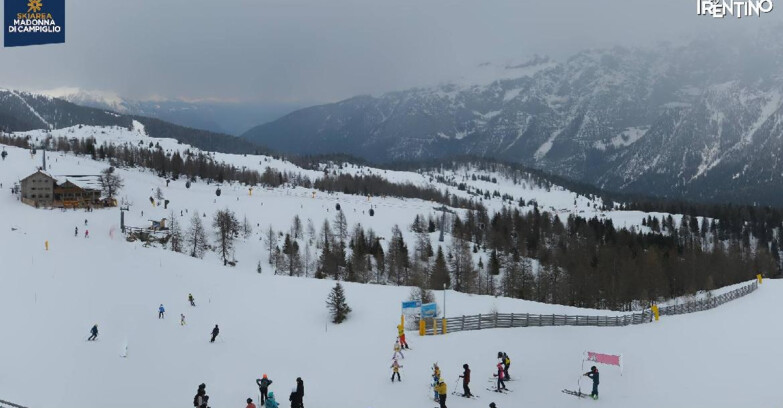 Webcam Madonna di Campiglio - Rifugio Viviani