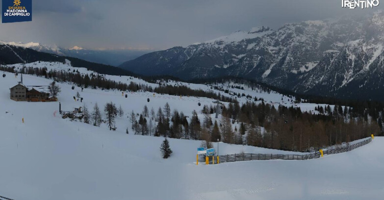 Webcam Madonna di Campiglio - Rifugio Viviani