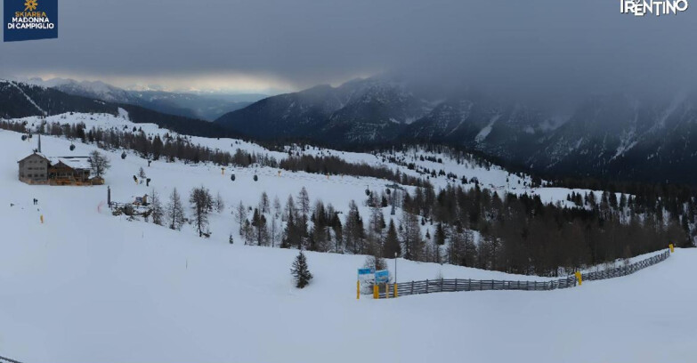Webcam Madonna di Campiglio - Rifugio Viviani