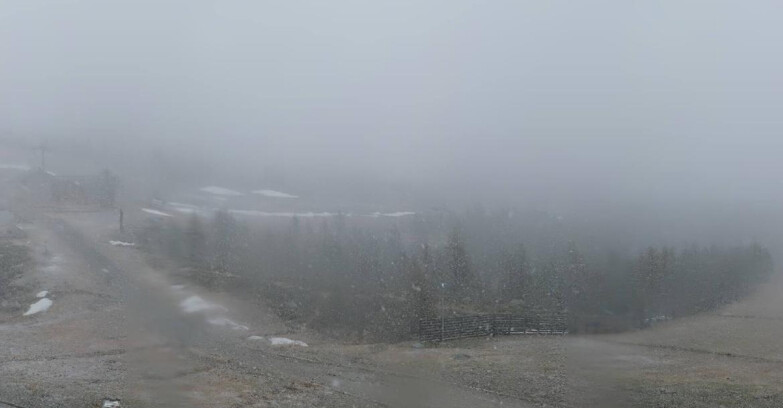 Webcam Мадонна-ди-Кампильо  - Rifugio Viviani