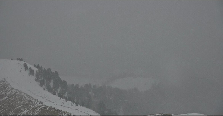 Webcam Pozza di Fassa-Aloch-Buffaure  - Sasso Lungo und Sasso Piatto