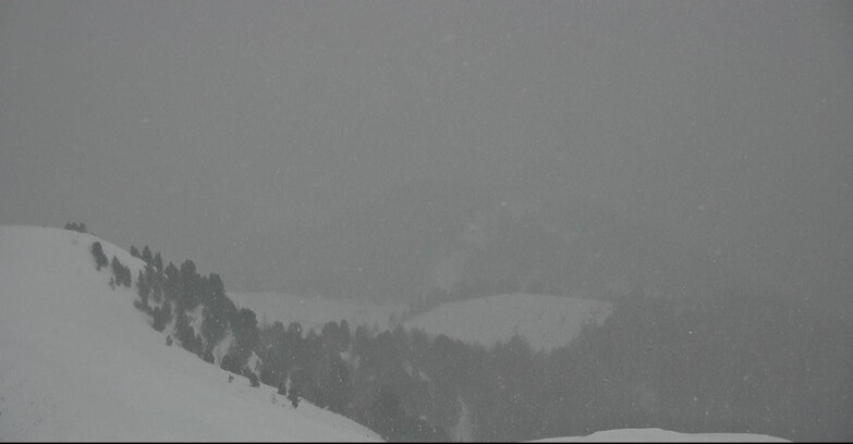 Webcam Pozza di Fassa-Aloch-Buffaure  - Sasso Lungo e Sasso Piatto visti da Buffaure