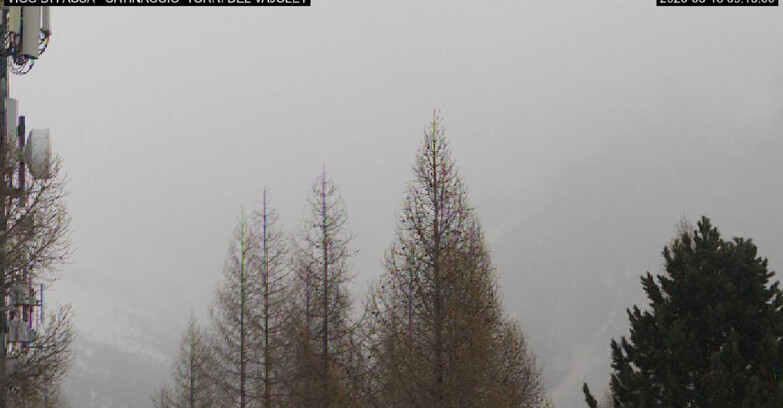 Webcam Vigo di Fassa-Pera-Ciampedie - Vigo di Fassa - Gardeccia - Torri del Vajolet