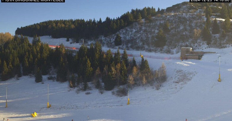 Webcam Monte Bondone - Bondone Diagonale Montesel