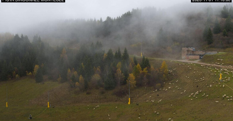 Webcam Monte Bondone - Bondone Diagonale Montesel