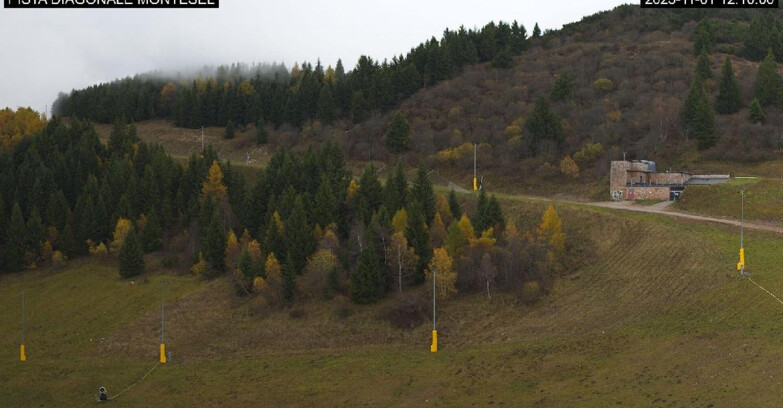 Webcam Monte Bondone - Bondone Diagonale Montesel