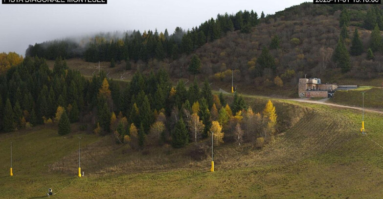 Webcam Monte Bondone - Bondone Diagonale Montesel