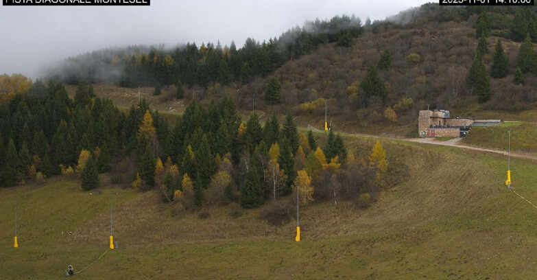 Webcam Monte Bondone - Bondone Diagonale Montesel