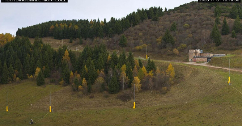 Webcam Monte Bondone - Bondone Diagonale Montesel