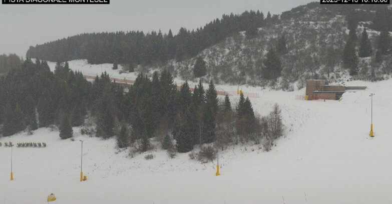 Webcam Монте-Бондоне  - Bondone Diagonale Montesel