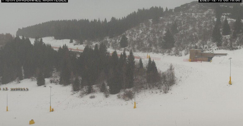 Webcam Монте-Бондоне  - Bondone Diagonale Montesel