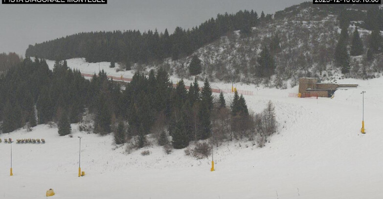 Webcam Монте-Бондоне  - Bondone Diagonale Montesel