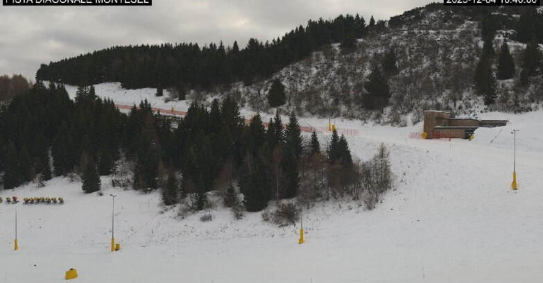 Webcam Monte Bondone - Bondone Diagonale Montesel