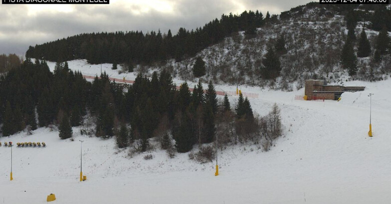 Webcam Monte Bondone - Bondone Diagonale Montesel